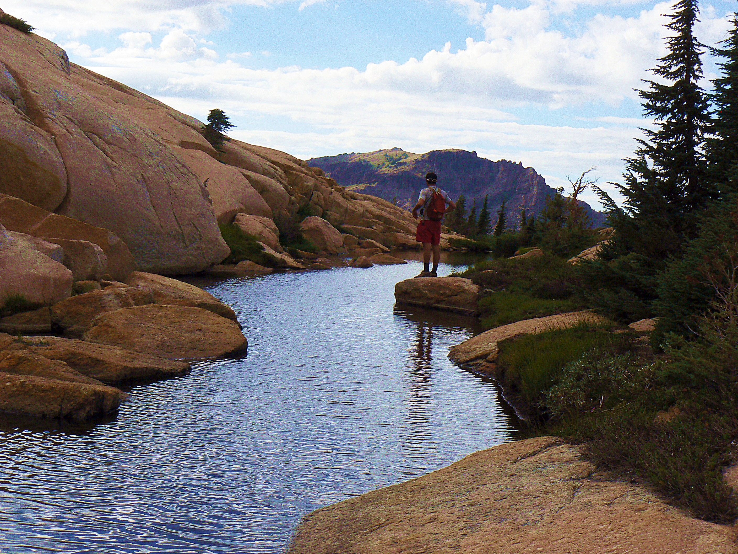 Streamside Reflection